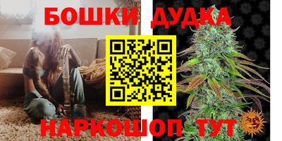 прущие грибы Ипатово
