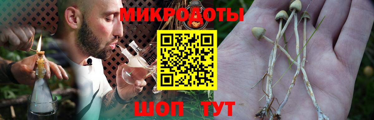 Псилоцибиновые грибы Psilocybe  Псилоцибиновые грибы прущие грибы  Вход с VPN  Майский 